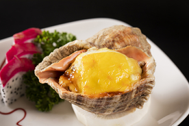 生蚝鲍鱼美食背景海报素材