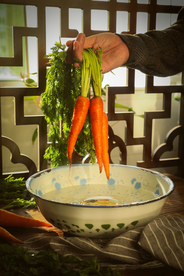 红璎萝卜食材养生背景海报素材