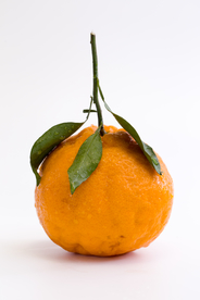 丑橘水果新鲜背景海报素材