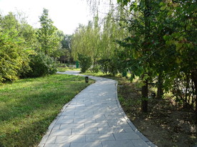 美丽阳光下的小路