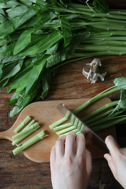 空心菜案板食材背景海报素材