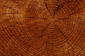 木纹背景