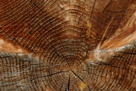 木纹背景
