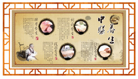 中医养生展板