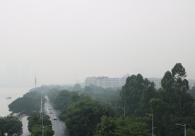 城市