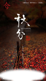 秋分 秋天 秋分海报 立秋海报