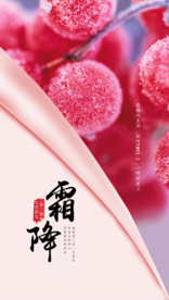 露水 版式 红色海报 设计