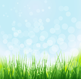 风景画 树叶 森林树叶  插画