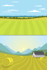 风景画 树叶 森林树叶  插画