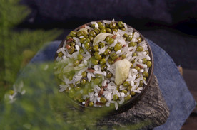 绿豆 百合 小米 红米 糯米