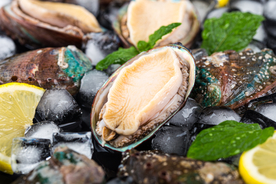 海鲜鲍鱼食材背景海报素材