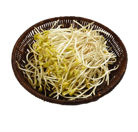 豆芽蔬菜食材背景海报素材