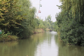 公园绿水河塘远眺