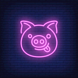 猪  手绘猪  卡通猪