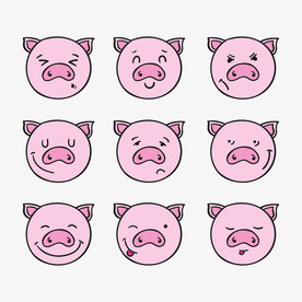 猪  手绘猪  卡通猪