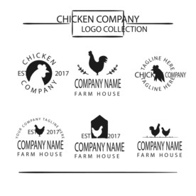 鸡 卡通鸡 鸡肉 鸡蛋 手绘鸡