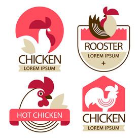 鸡 卡通鸡 鸡肉 鸡蛋 手绘鸡