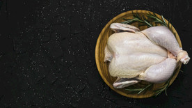 鸡 卡通鸡 鸡肉 鸡蛋 手绘鸡