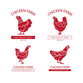 鸡 卡通鸡 鸡肉 鸡蛋 手绘鸡