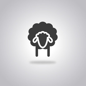 羊  卡通羊 手绘羊  动物