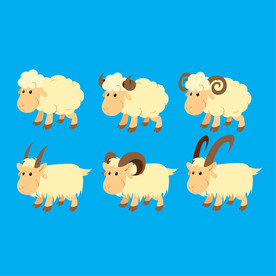 羊  卡通羊 手绘羊  动物