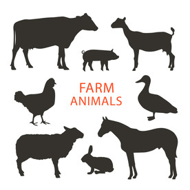 羊  卡通羊 手绘羊  动物