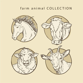 羊  卡通羊 手绘羊  动物