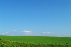 蓝天草地