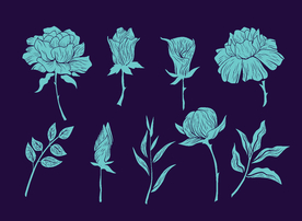 矢量花卉