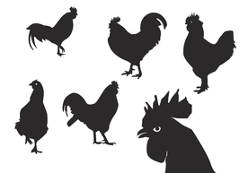 矢量公鸡