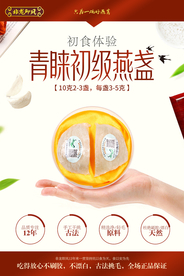 初级燕盏燕窝衍生品宣传促销海报