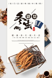中国风冬虫夏草中药海报