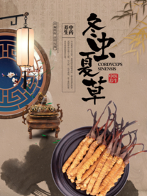 中华药膳美食冬虫夏草海报