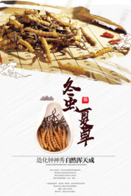 医疗冬虫夏草宣传活动海报