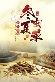 中国风补品冬虫夏草海报