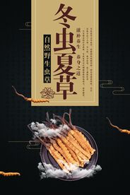黑色古典大气冬虫夏草宣传海报