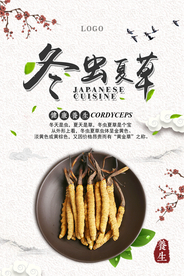 简洁中国风冬虫夏草海报