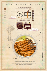 简洁时尚中国风冬虫夏草中药海报