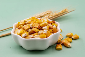 玉米配料食材背景海报素材