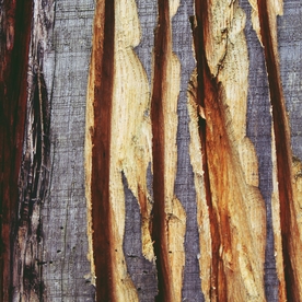 木纹背景图片