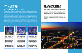 企业介绍