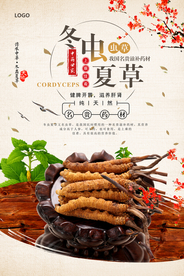 古典冬虫夏草促销海报