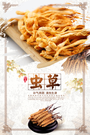 中国风虫草海报