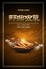 大气虫草中药材海报