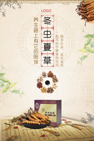 冬虫夏草海报