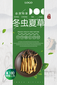 中国风中药文化冬虫夏草促销海报