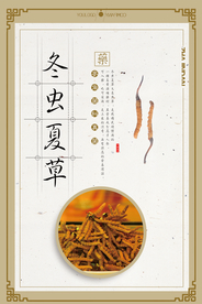中国风中药文化冬虫夏草促销海报