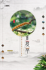 中国风中药文化冬虫夏草促销海报