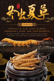 中药文化冬虫夏草海报