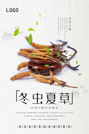 中国风冬虫夏草宣传海报
